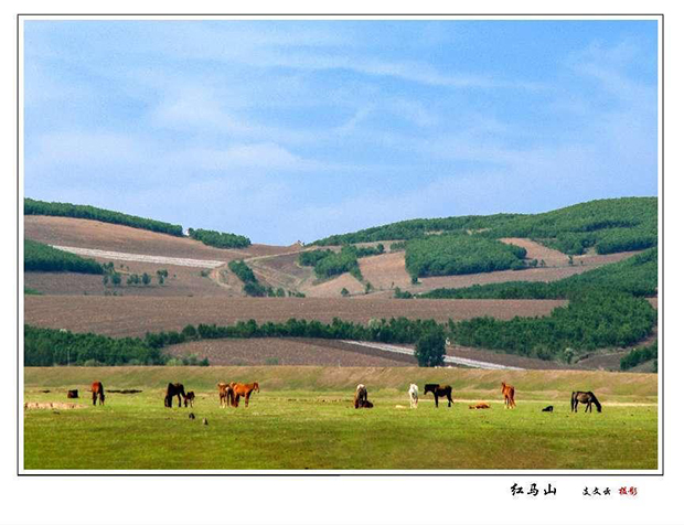 image001.jpg image001.jpg