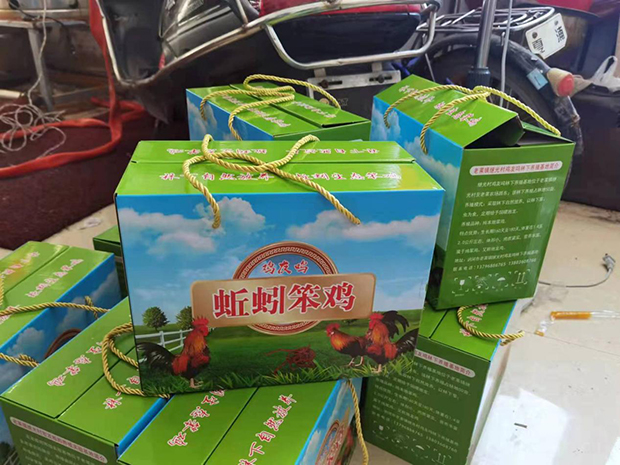 image005.jpg image005.jpg