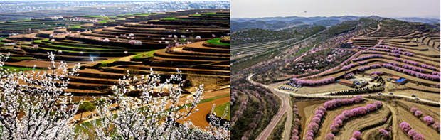 image007.png image007.png