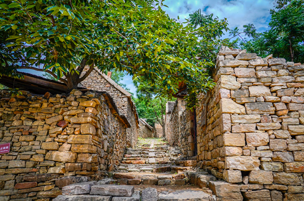 image009.png image009.png