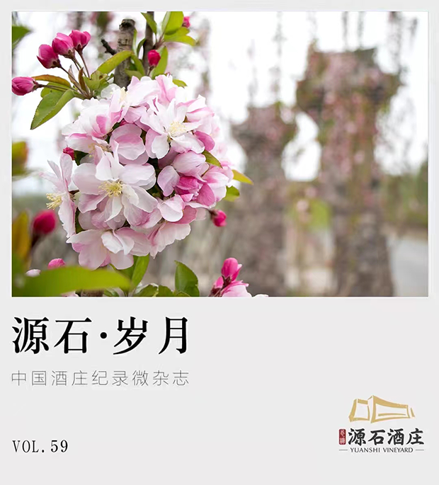 image013.png
