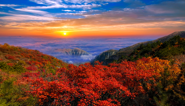 Honeyview_太行鹤壁秋色.jpg Honeyview_太行鹤壁秋色.jpg