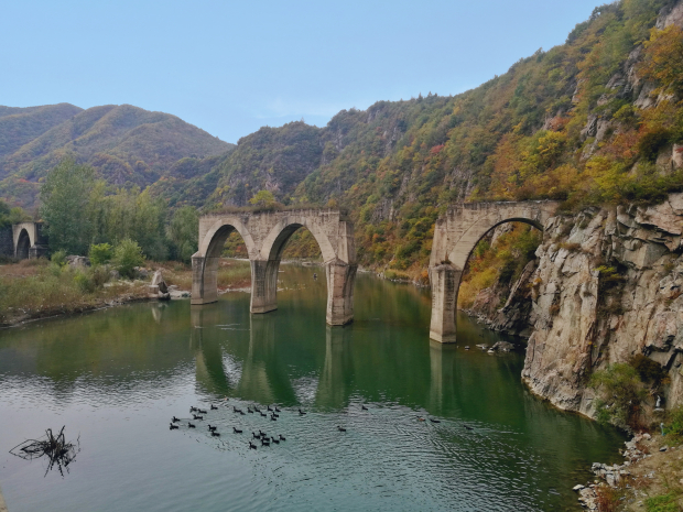 image007 (2).jpg image007 (2).jpg