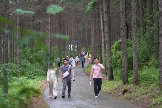 image005 (2).jpg image005 (2).jpg