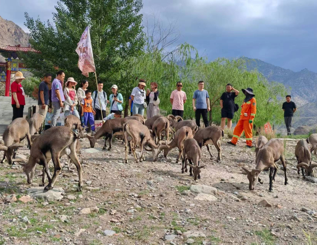 image005 (2).jpg image005 (2).jpg