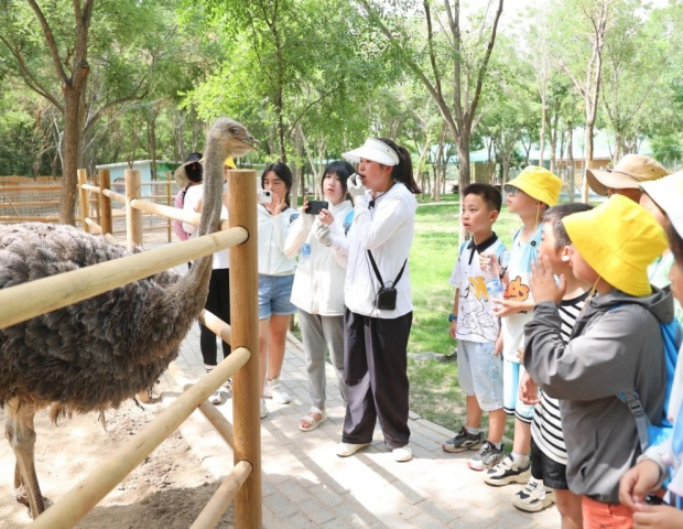 image007 (2).jpg image007 (2).jpg