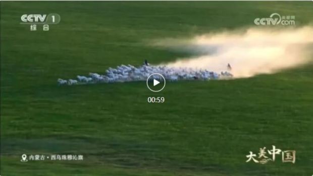 QQ��ͼ20240807104154 (2).jpg