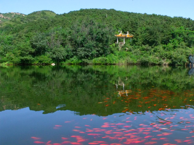 image005 (2).jpg image005 (2).jpg