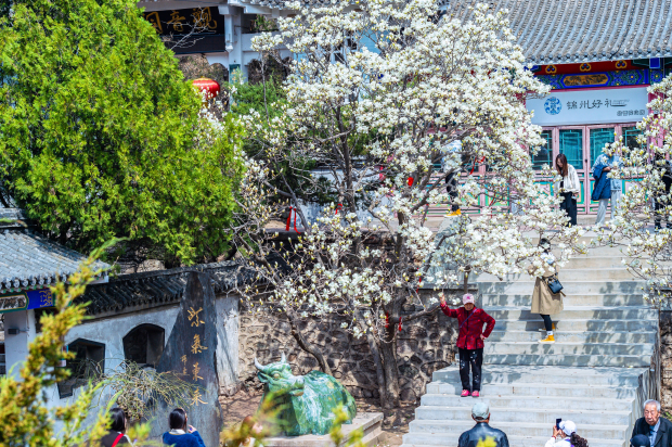 image007 (2).jpg image007 (2).jpg