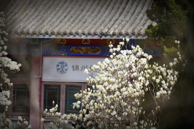 image009 (2).jpg image009 (2).jpg